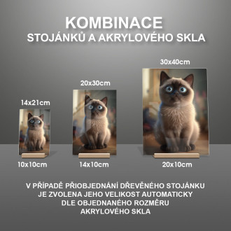 Tonkinese cat cartoon