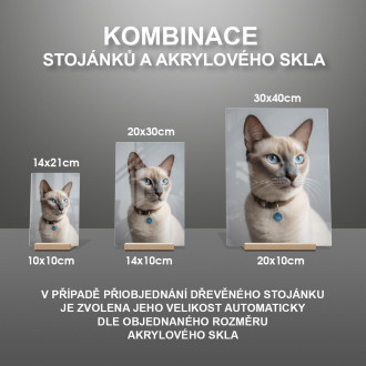 Tonkinese cat realistic