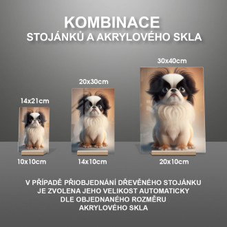 Japanese Chin cartoon