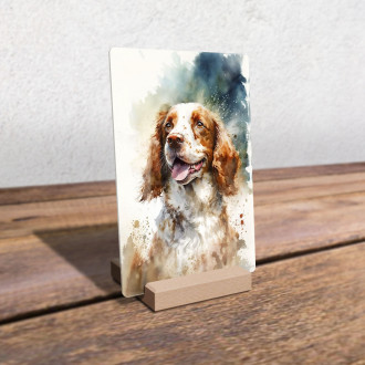 Welsh Springer Spaniel watercolor