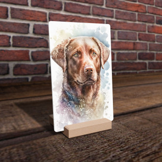 Chesapeake Bay Retriever watercolor