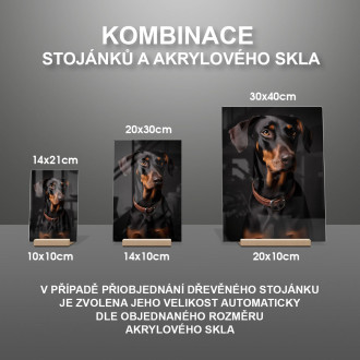 Doberman Pinscher realistic