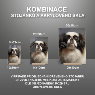 Japanese Chin realistic