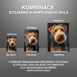 Welsh Terrier realistic