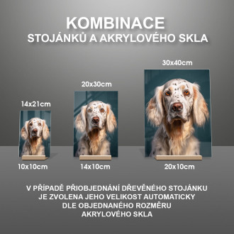 English Setter realistic