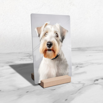 Sealyham Terrier realistic