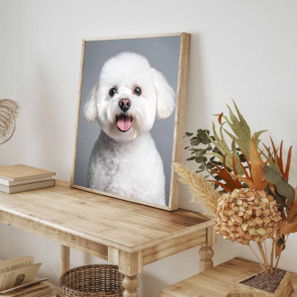 Bichon realistic