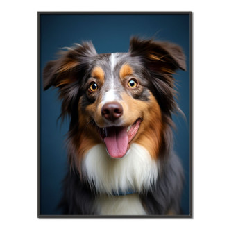 Miniature American Shepherd realistic