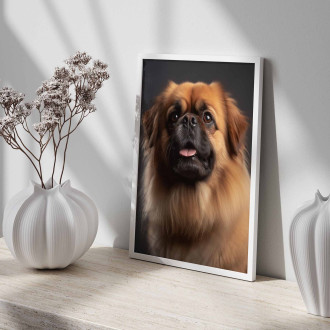 Pekingese realistic