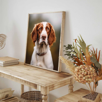 Welsh Springer Spaniel realistic