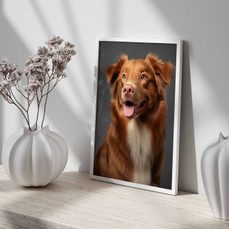 Nova Scotia Duck Tolling Retriever realistic