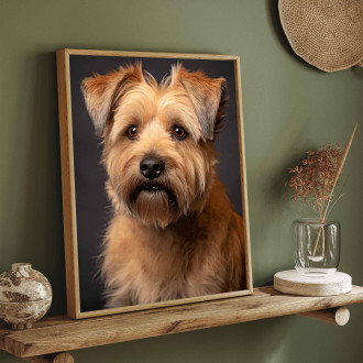 Glen of Imaal Terrier realistic