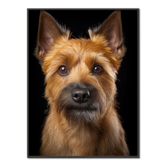 Norwich Terrier realistic