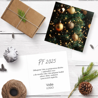 Christmas card N1024o