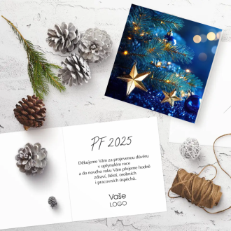 Christmas card N1031o