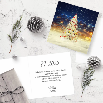 Christmas card n907o