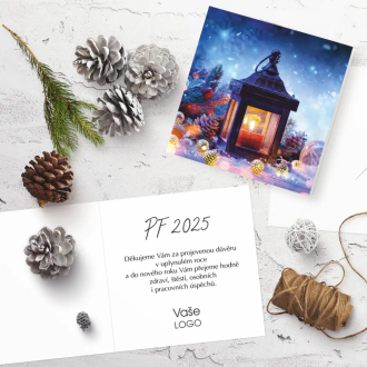 Christmas card n909o