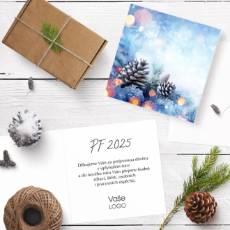 Christmas card n910o