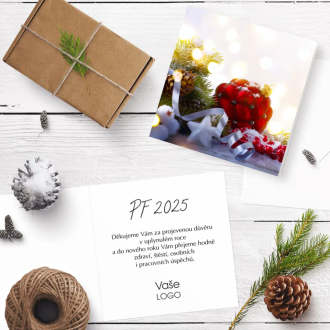 Christmas card n913o