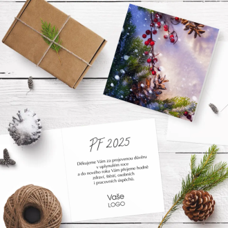 Christmas card n921o