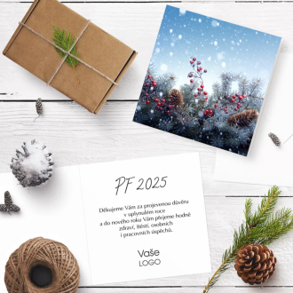 Christmas card n928o