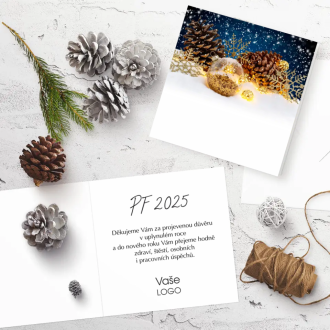 Christmas card n947o