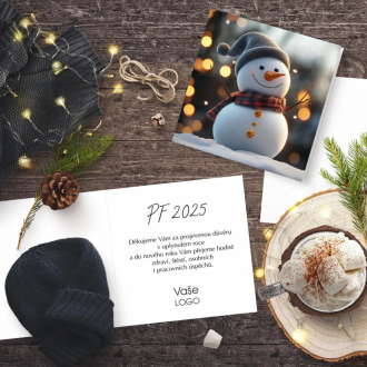 Christmas card N955o