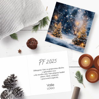 Christmas card N974o