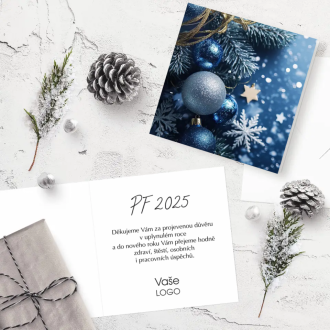 Christmas card N984o