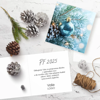 Christmas card N991o